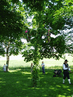 Välkommen till MIDSOMMARFIRANDE i Normlösa, Klockarängen-Body