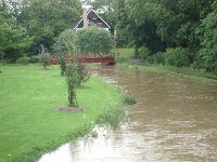 Regn,regn - för mycket vatten!-Body-5